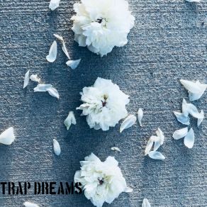 Download track Trap Dreams Patrick Mabe