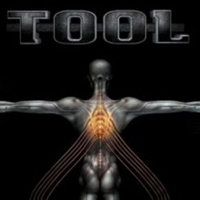 Download track You Lied (Live) Tool$