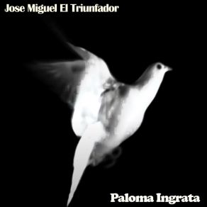 Download track Cholita Querida Jose Miguel El Triunfador