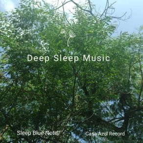 Download track 102 Sleep Blue Note