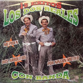 Download track Los Cerros De Chihuahua Los Dos Reales