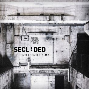 Download track Witness (Bleak Dissociation Remix) (Bleak) SecludedBleak