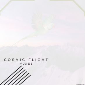 Download track Cosmic Flight Vunkt