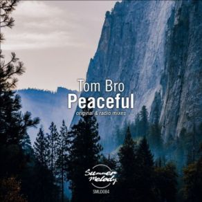 Download track Peaceful (Radio Mix) Tom Bro