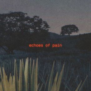 Download track Echoes Of Pain Empty Silence