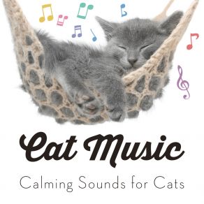 Download track Night Night Kitty RelaxMyCat