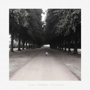 Download track Silence And The Static Echo Chamber Orchestra