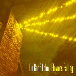 Download track Space 4 U & Me Tin Roof Echo