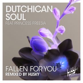 Download track Fallen For You Dub Dutchican Soul, Princess Freesia