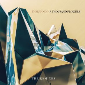 Download track A Thousand Flowers (Blank Page Syndrome Remix) Fhernando