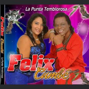 Download track Mami Llego Tu Tiguere Felix Cumbé