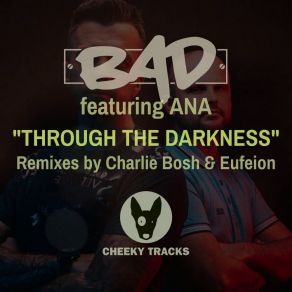 Download track Through The Darkness (Radio Edit) Ana