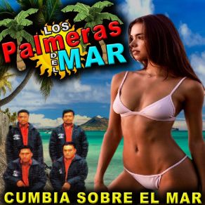 Download track Si Tu Te Vas Los Palmeras