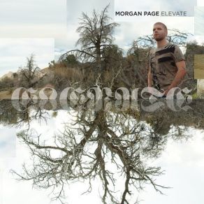 Download track Peace And Hate (Remix) Morgan PageThe Submarines