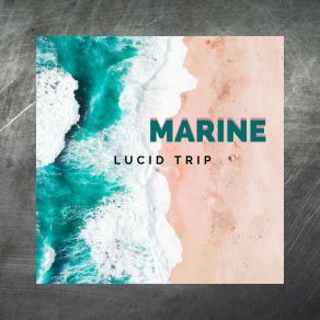 Download track Marine Lucid Trip