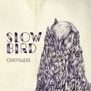 Download track Stars And Stripes Slow Bird