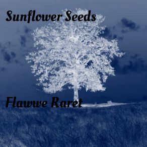 Download track Sleepless Flawwe Raret