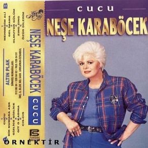 Download track Özür Dilerim Neşe Karaböcek