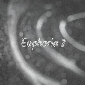 Download track Euphoria 2 (Slowed + Reverb) DiskideReverb