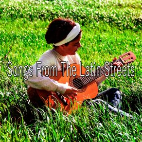 Download track As The Flower Blooms Spanish Guitar Chill Out