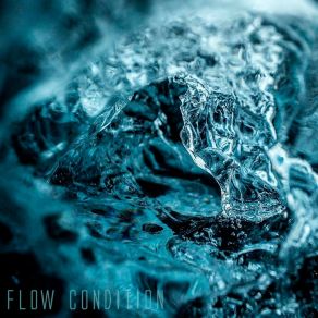 Download track Flow Condition FLVSHER