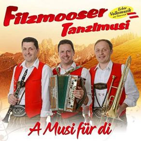 Download track Kinderherzen Filzmooser Tanzlmusi