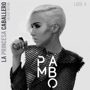 Download track Canción Pambo