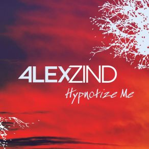 Download track Hypnotize Me (Extended Dance Mix) Alex ZindAlexander Zind