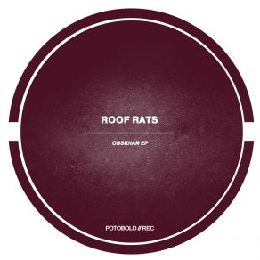 Download track Obsidian (Original Mix) Roof Rats