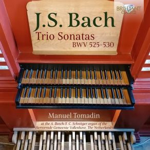 Download track 2. Organ Sonata No. 1 In E-Flat Major, BWV 525- II. Adagio Johann Sebastian Bach