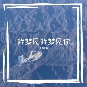 Download track 我可以改可惜你不在 王在在