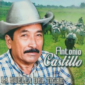 Download track Gaviota Errante Antonio Castillo