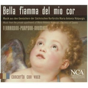 Download track 15. Giovanni Battista Ferrandini: Augellin - Aria: Vo Sospirando Jan Katzschke, Barbara Christina Steude, Concerto Con Voce