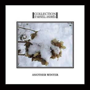 Download track Another Winter D'Arnell Andrea