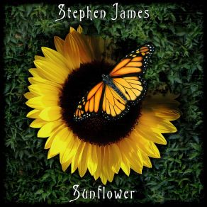 Download track Positive Impact Stephen James