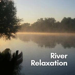Download track 1 Hour Of River Sounds Through The Rocks, Pt. 9 Naturalis