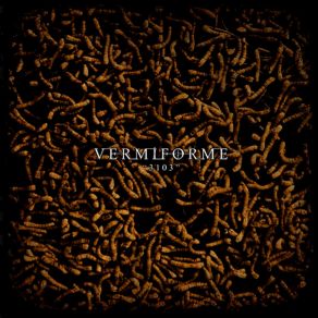 Download track Cubo Vermiforme