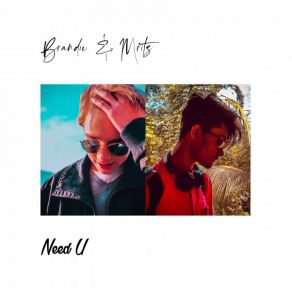 Download track Need U Brandye