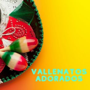 Download track Dile Que Si Al Vallenato Fieles Valleneteros Band