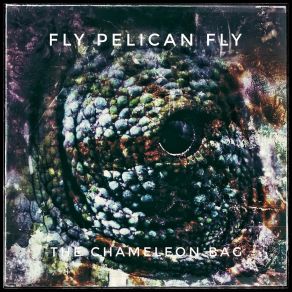 Download track Teenage Wasteland Fly Pelican Fly