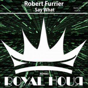 Download track Say What (Original Mix) Robert Furrier