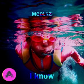 Download track I Know (Radio Mix) Moolkz