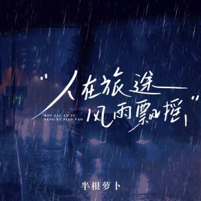 Download track 人在旅途风雨飘摇 (DJ降调版) 半根萝卜Lucky小阳