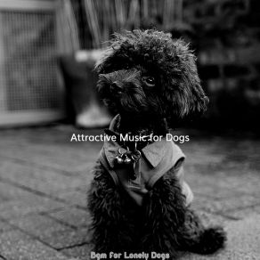 Download track Stellar Ambience For Sleeping Dogs Attractive Music For Dogs