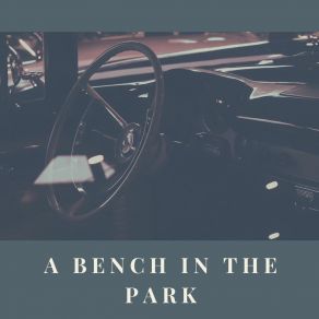 Download track A Bench In The Park His Cocoanut Groove Orchestra