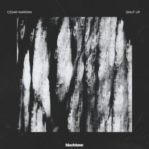 Download track Shut Up (Radio Edit) Cesar Nardini