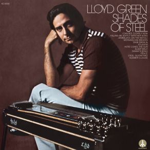 Download track Dixie Drive-In Lloyd Green