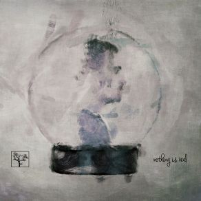 Download track Solar Motel The Flashbulb