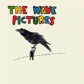 Download track The Inattentive Reader The Wave Pictures