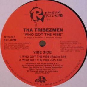 Download track Peep Into The Mind (Radio) Tha Tribezmen